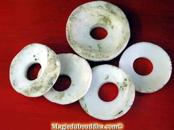 conch shell tibetan